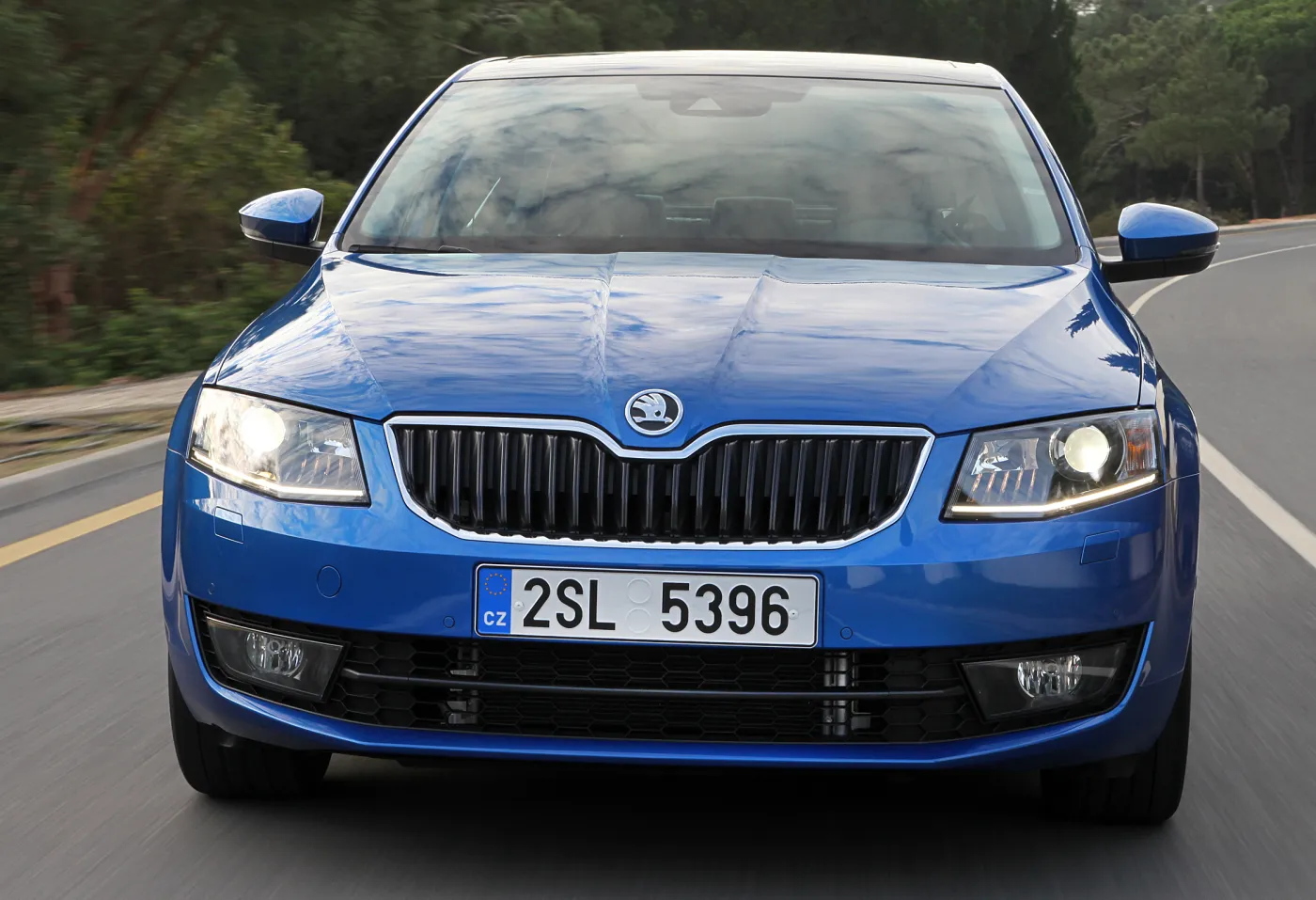 4579414-5.jpg