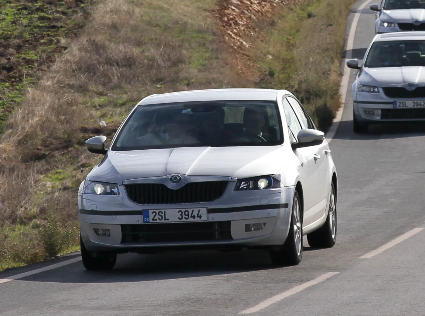 4290891-12.jpg