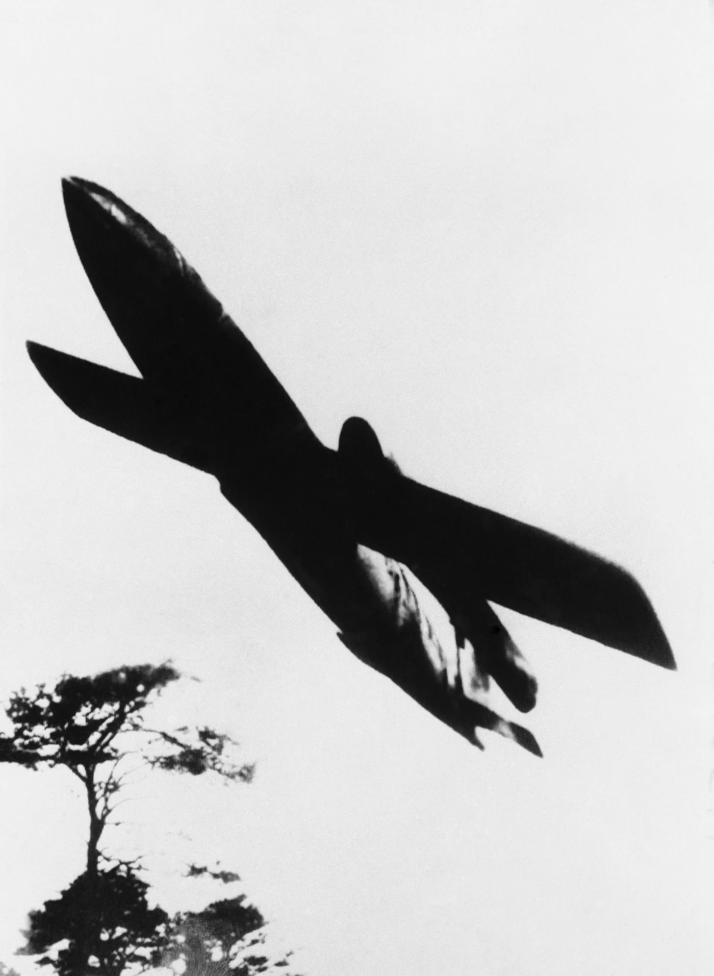 4502714-v1.jpg