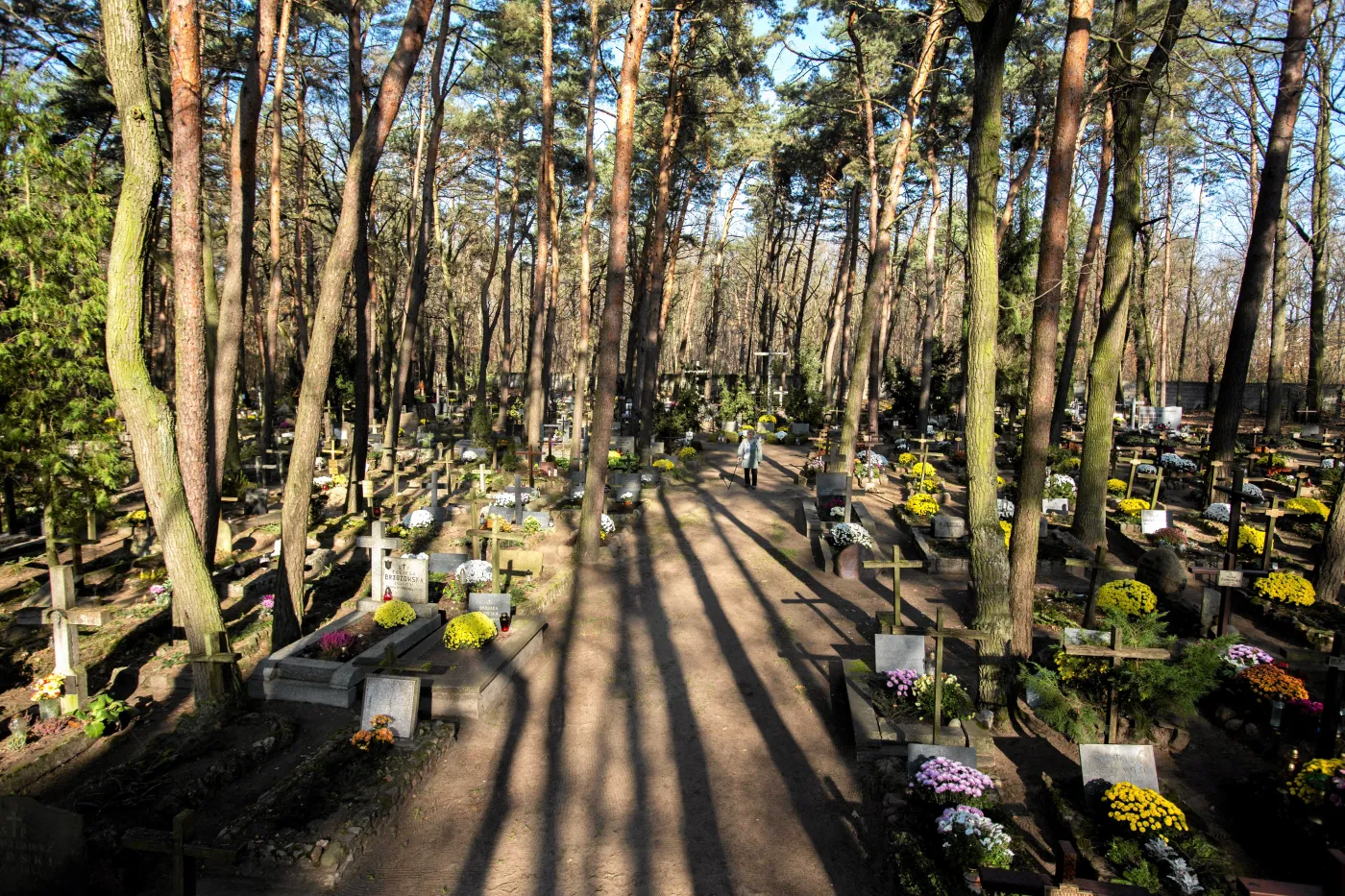 cmentarz leśny parafialny Laski