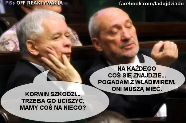 mem / źródło: Facebook/PiSoffReaktywacja