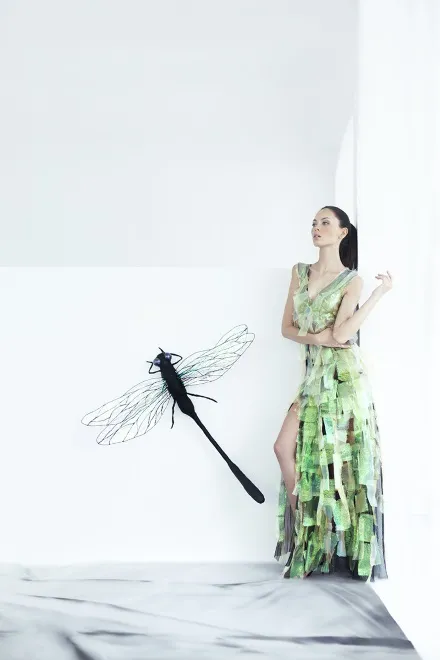 Bartek Janusz: kolekcja Dragon Fly