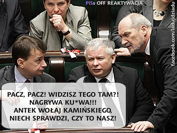mem / źródło: Facebook/PiSOffReaktywacja