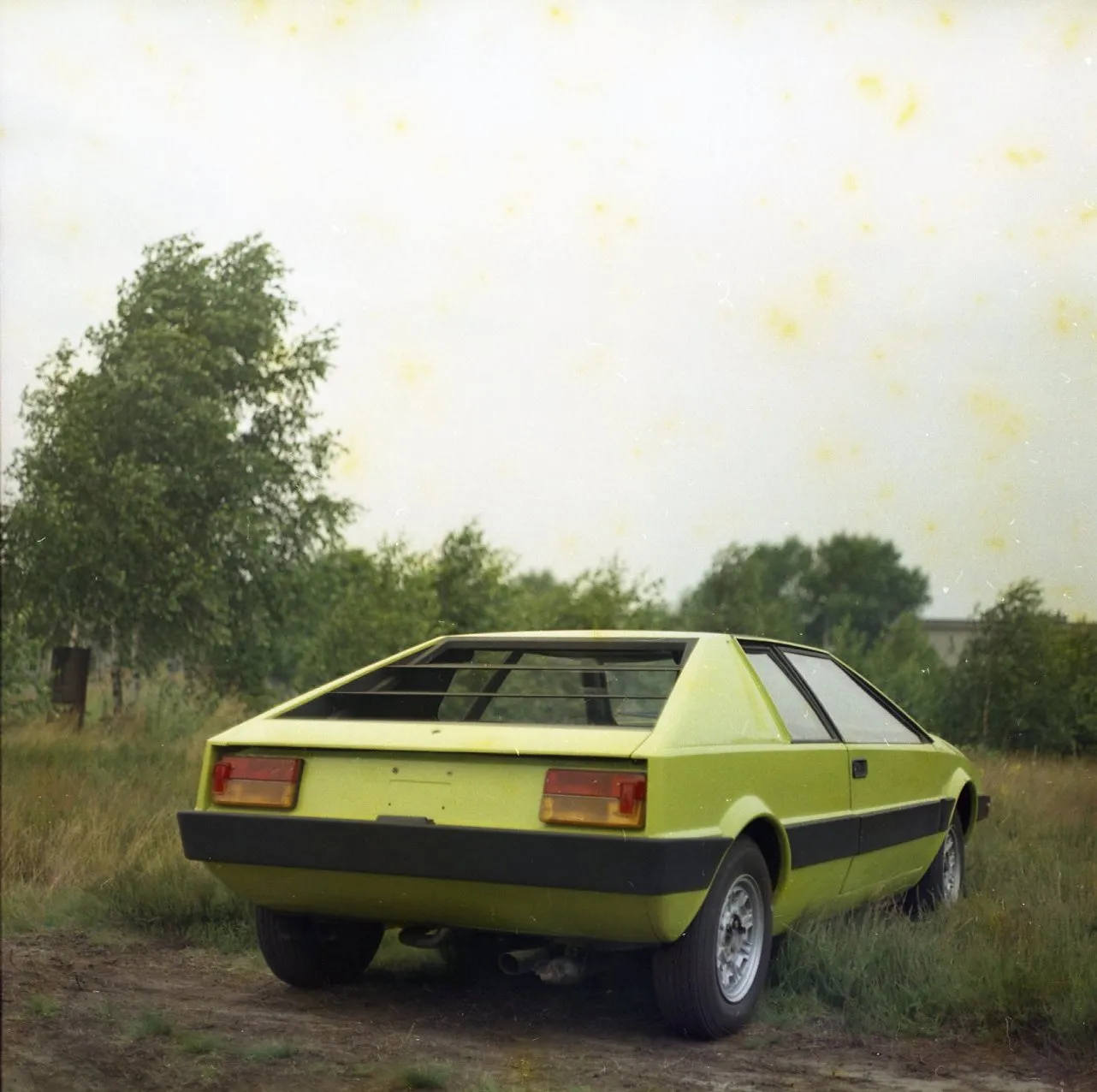8442563-24.jpg