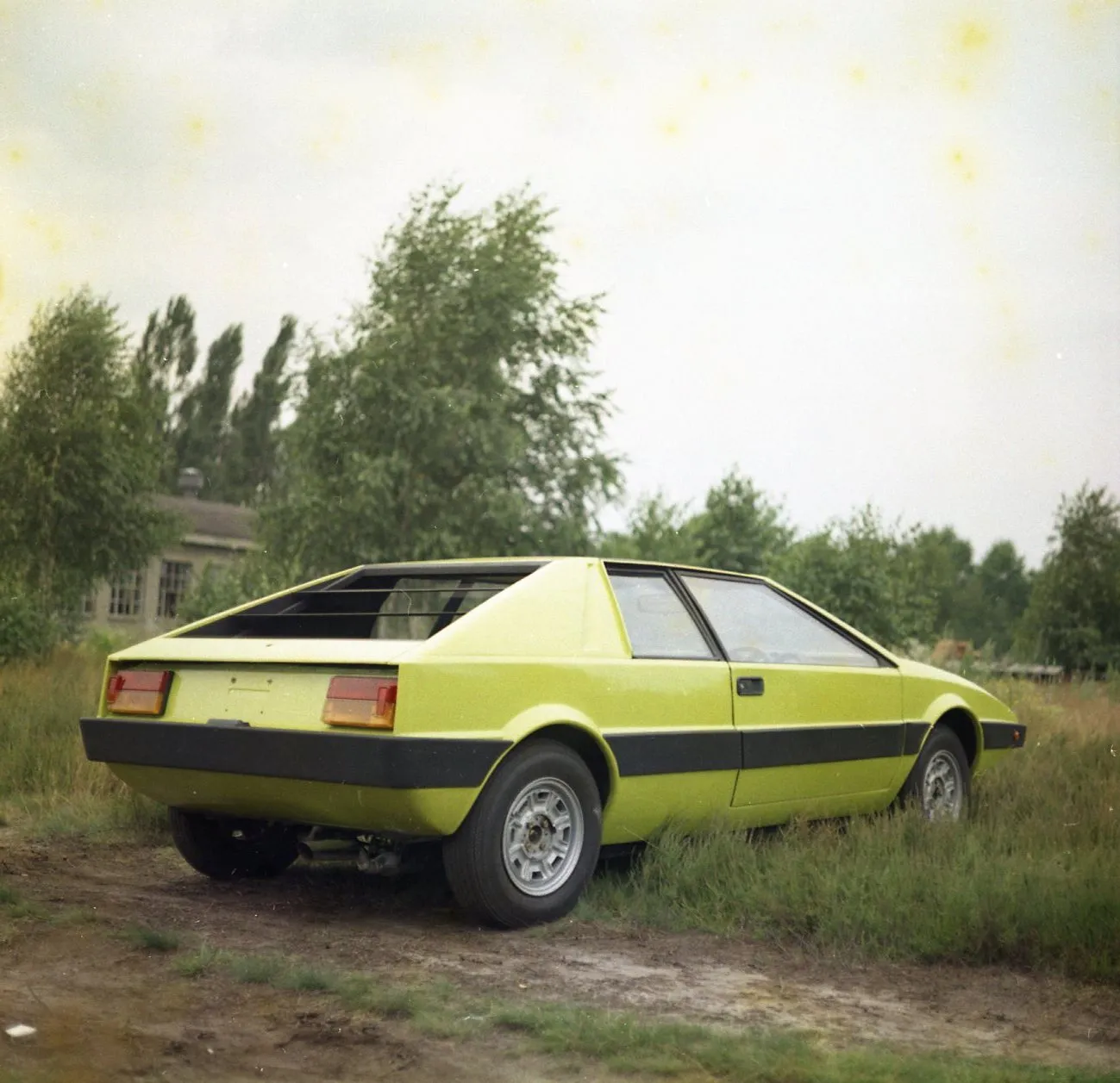 8442625-25.jpg