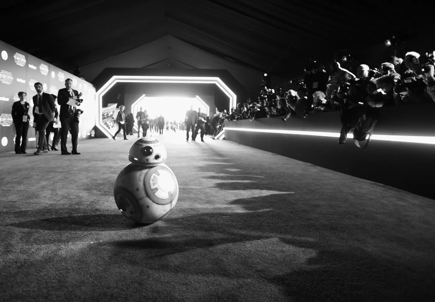 8566480-bb8.jpg