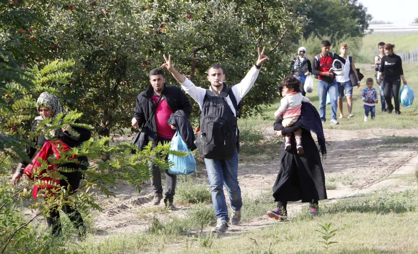 Imigranci na granicy węgiersko-serbskiej