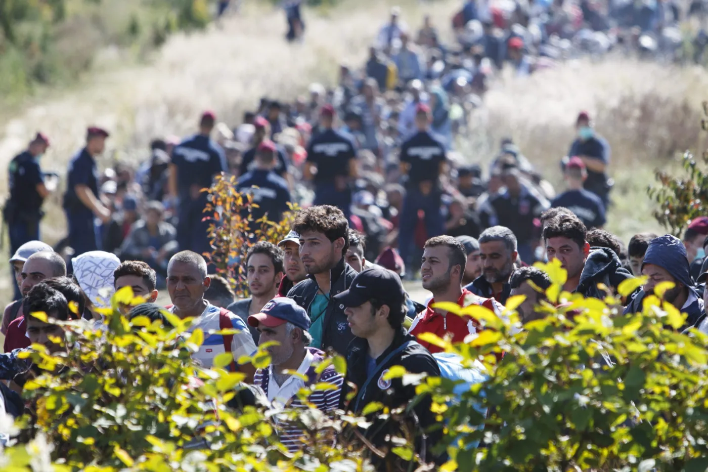 Imigranci na granicy chorwacko-węgierskiej