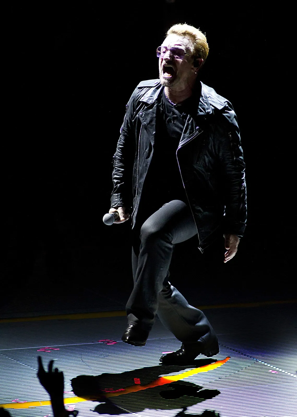 8188834-u2.jpg
