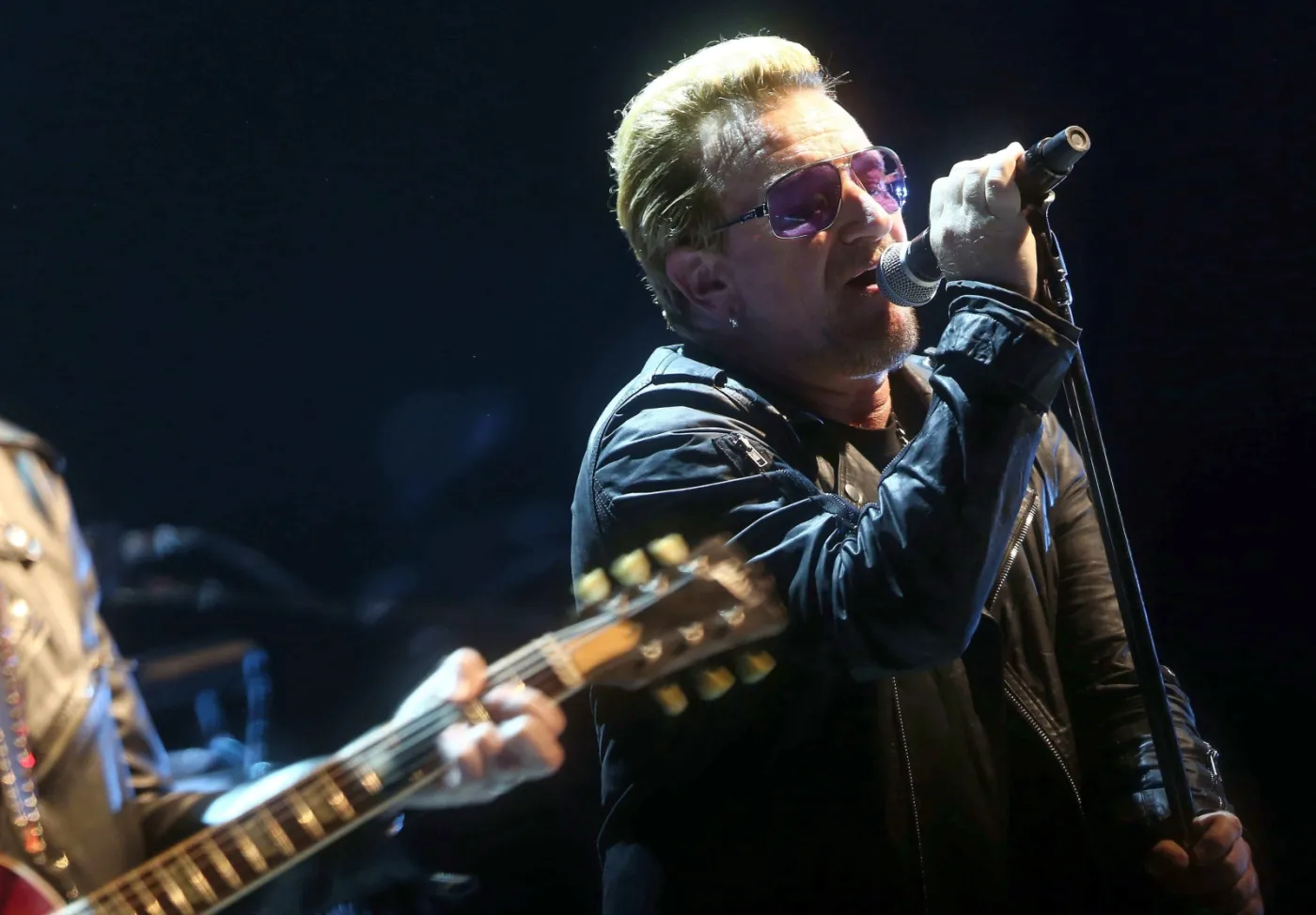 8288753-u2.jpg