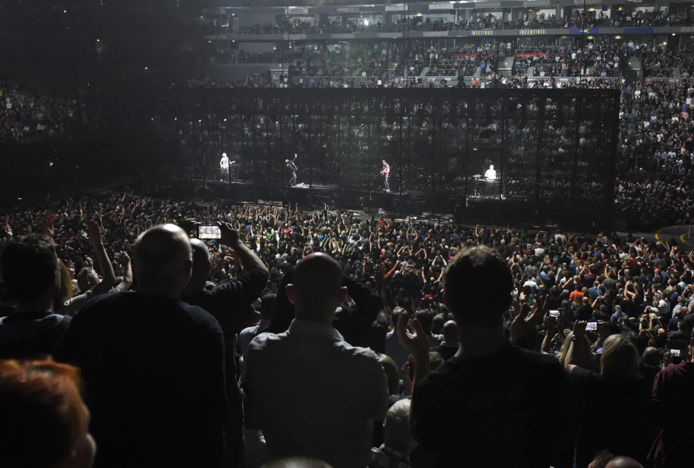 8332651-u2.jpg