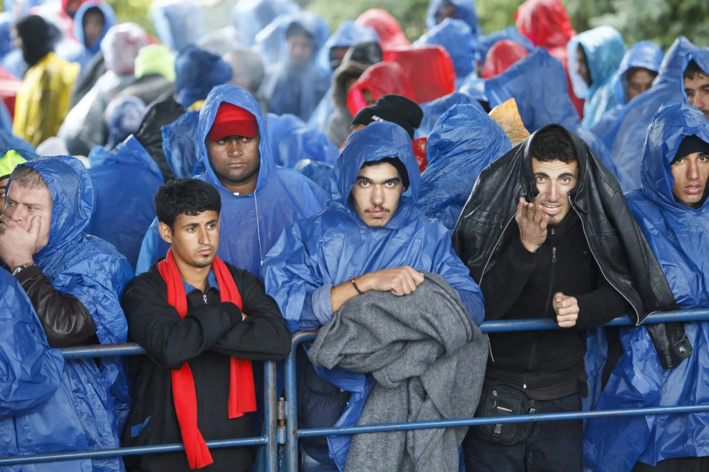 Imigranci na granicy chorwacko-słoweńskiej