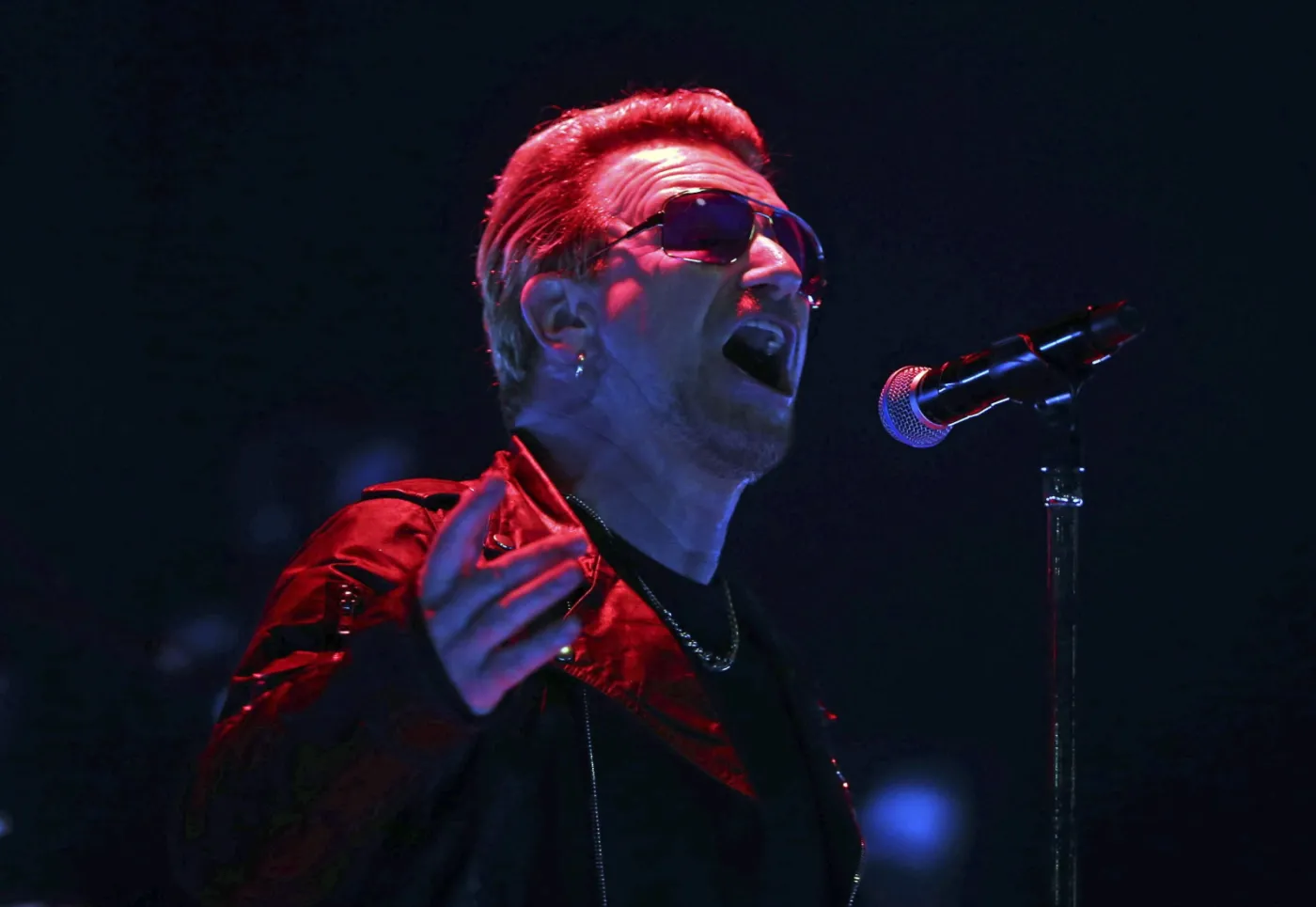 8288721-u2.jpg