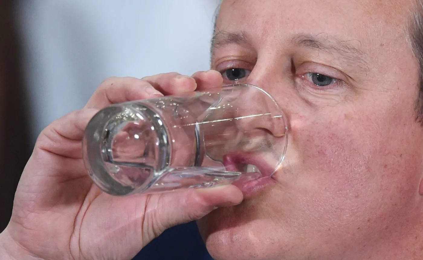 Brytyjski premier David Cameron