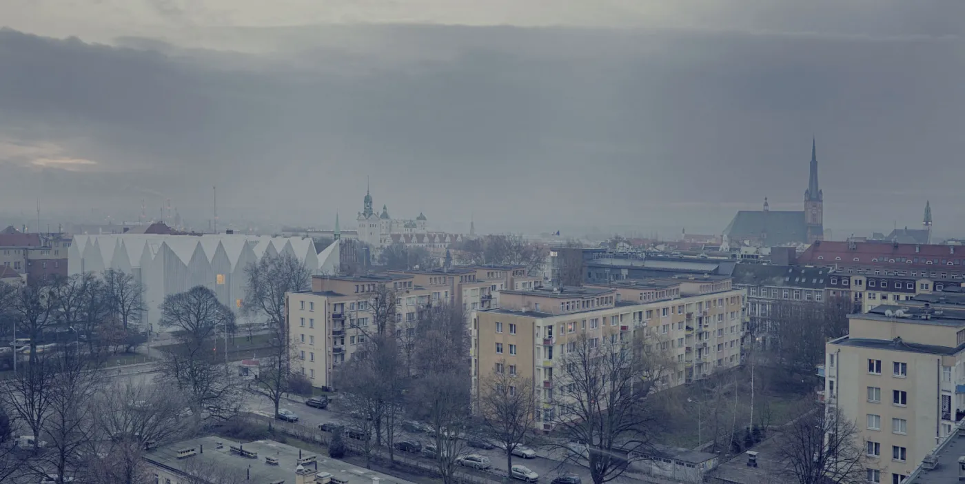 8755063-fot.jpg