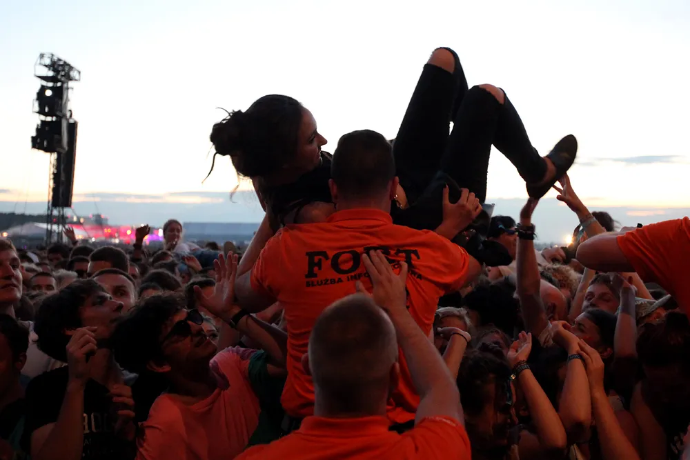 9239717-fot.jpg