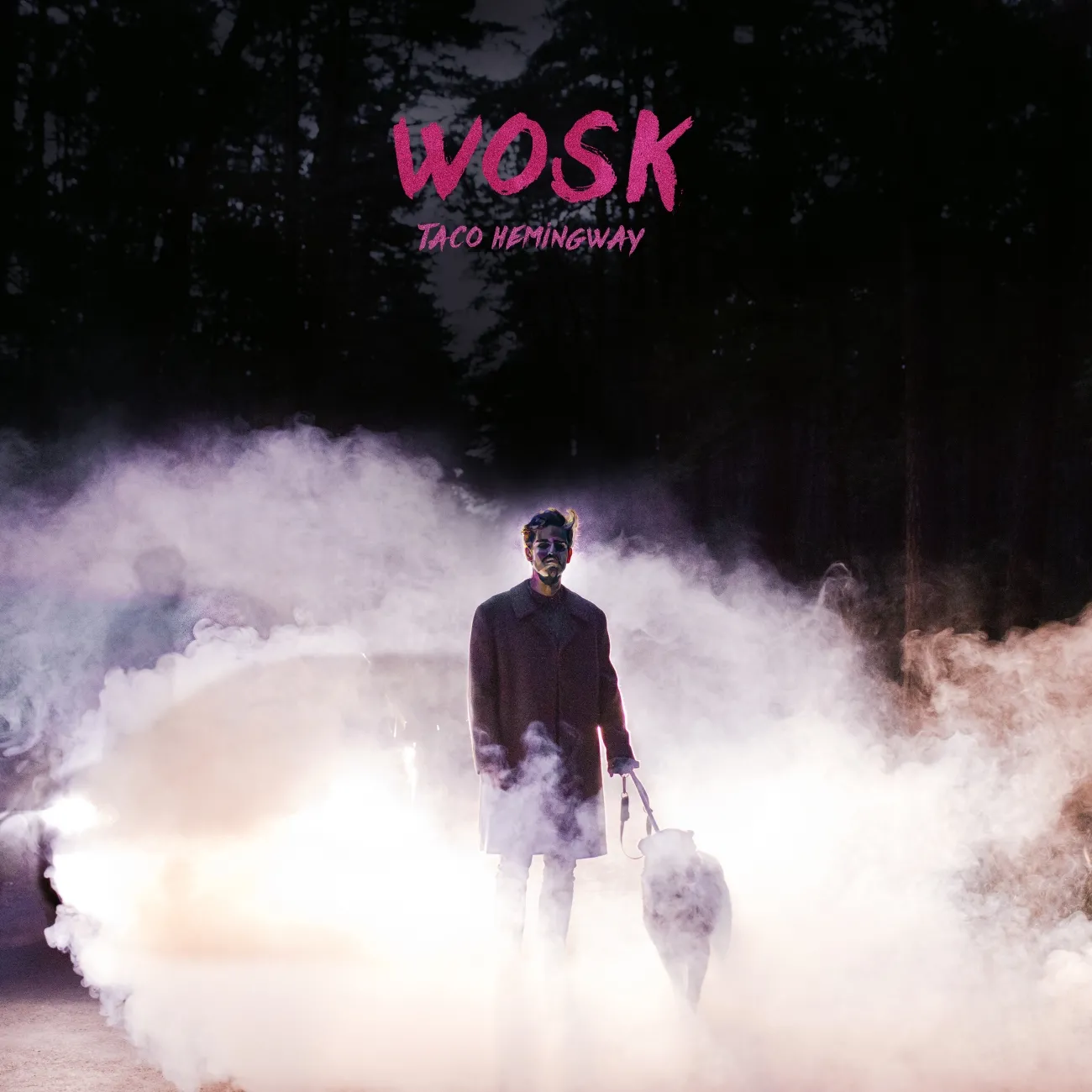 Okładka płyty "Wosk" Taco Hemingwaya