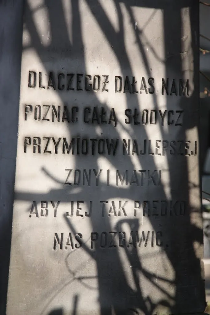9575509-.jpg