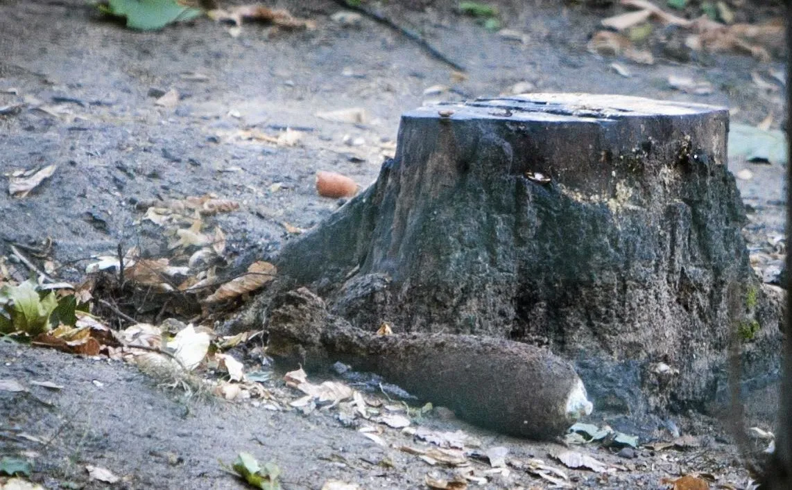Pocisk wykopany przez niedźwiedzicę