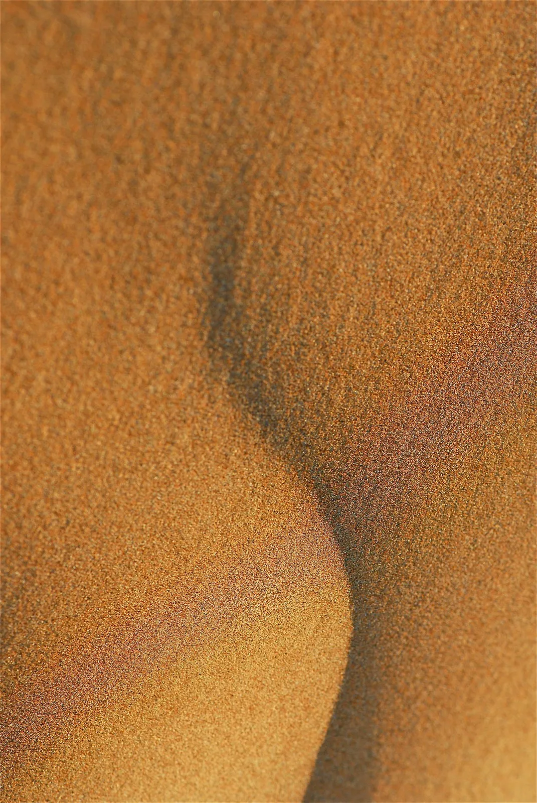 9485782-fot.jpg