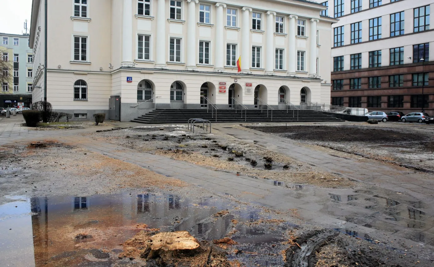 Wycinka drzew przed urzędem dzielnicy