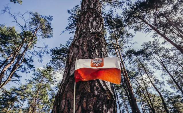 Skandal? Prowokacja? Tablica na cmentarzu w Katyniu wytyka Polakom zamęczenie rosyjskich jeńców