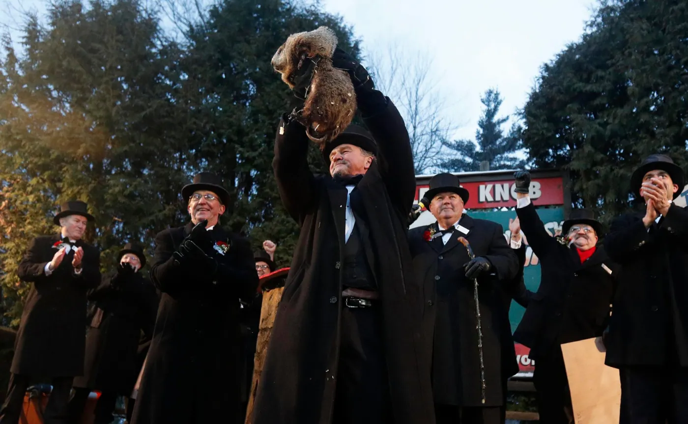 wistak Phil przepowiada pogodę