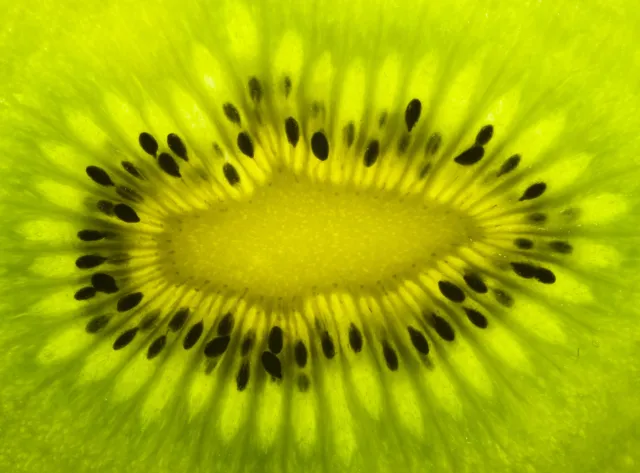 Kiwi jak lek na zaparcia. Wystarczy zjeść dziennie dwa owoce