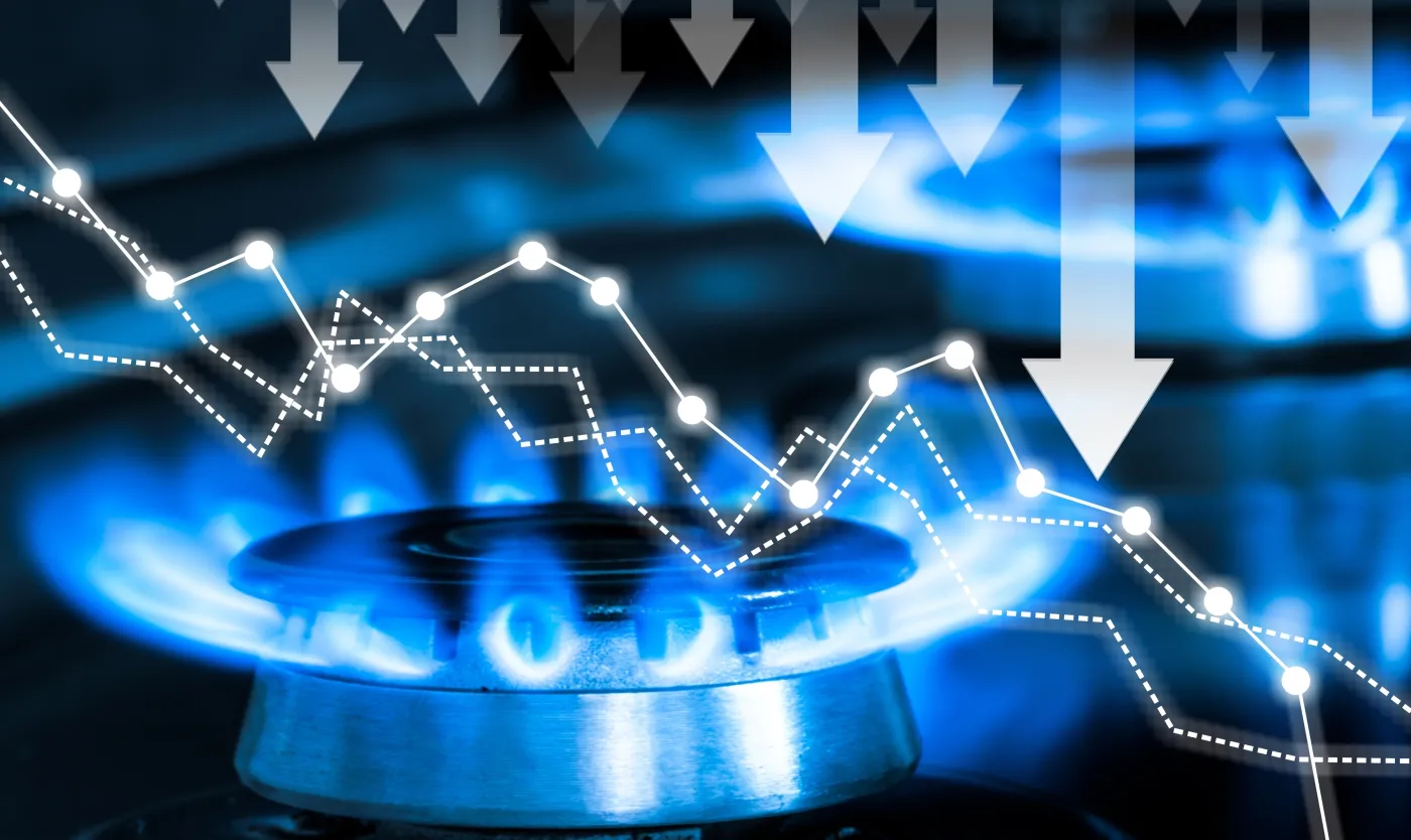 Blue,Gas,Burners,With,Fire,And,Price,Concept,Chart