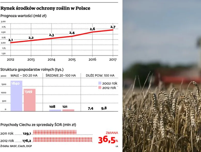 Rynek chemiczny: Na ochronie roślin skorzystają głównie zagraniczne koncerny
