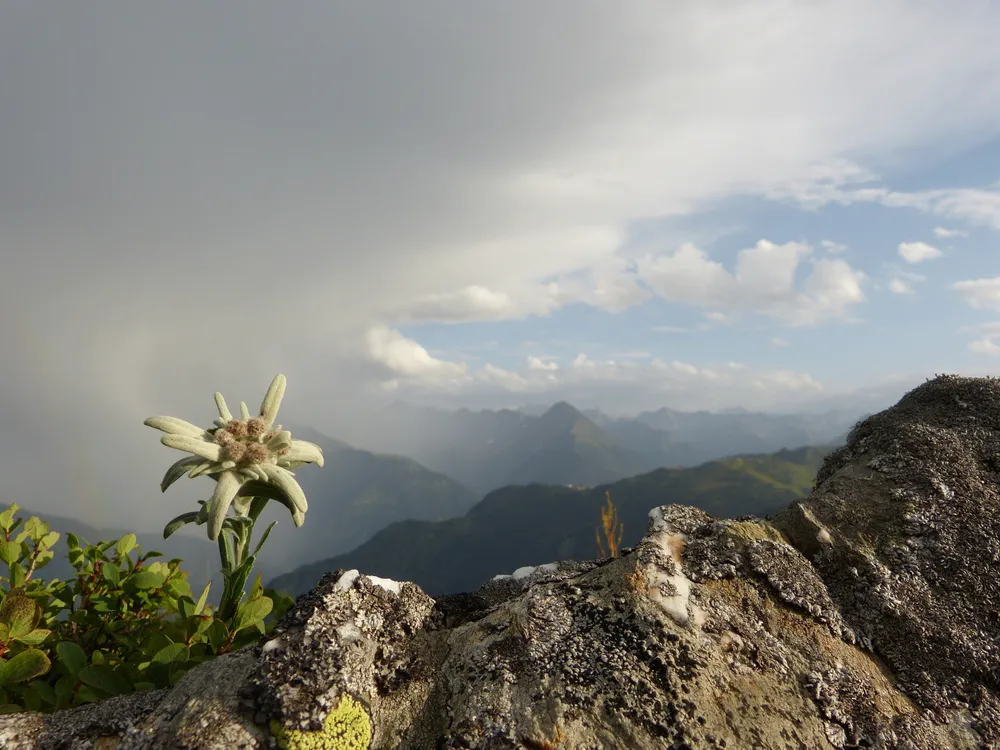 1342588-tyrol.jpg