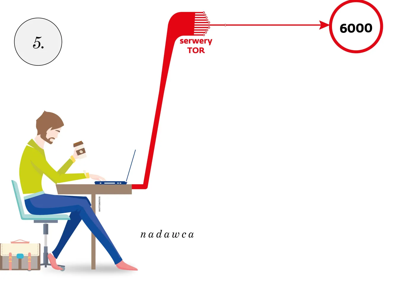 2424463-5-tor.jpg