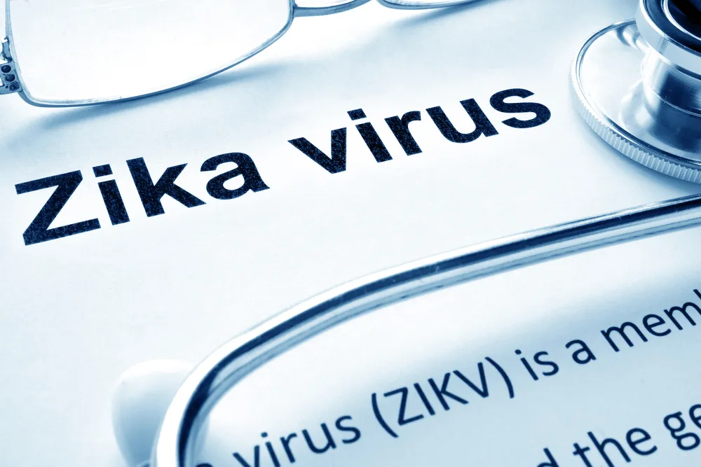 GIS uspokaja. W Polsce nie ma warunków do rozprzestrzeniania się wirusa Zika