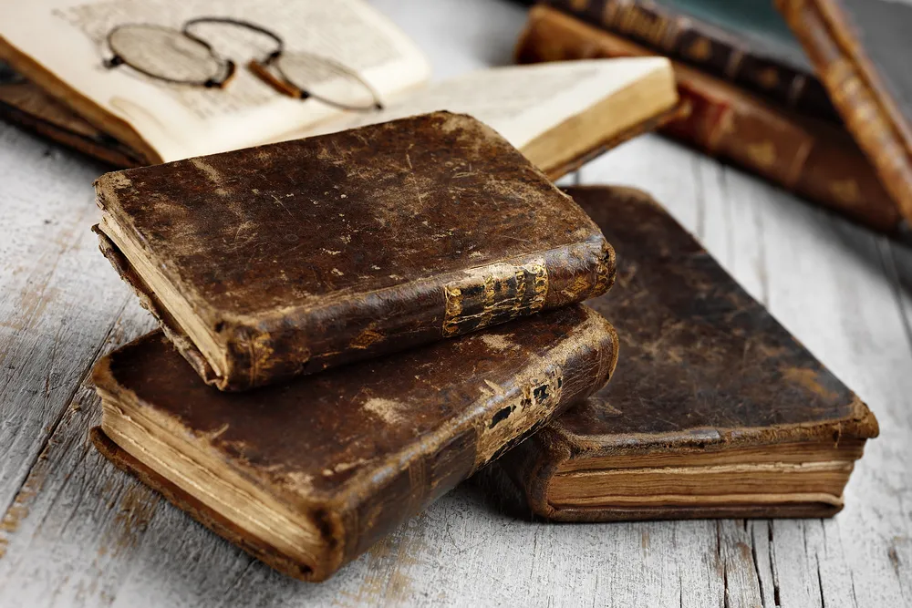 Rogowska: Polskie straty wojenne odnajdują się także na terenie naszego kraju [WYWIAD]