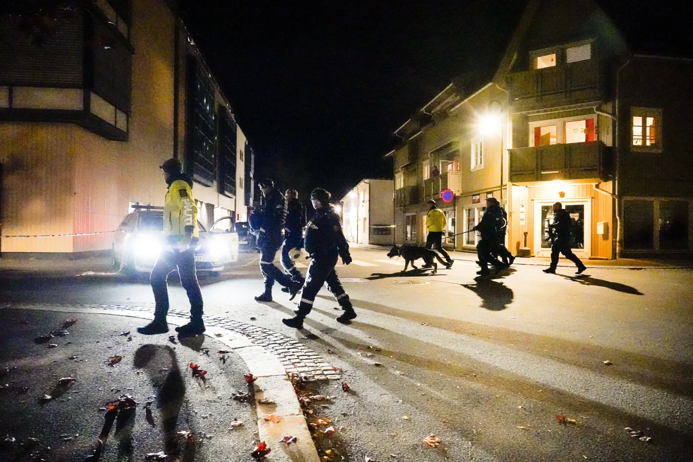Atak w Norwegii. Mężczyzna zabił strzałami z łuku pięć osób