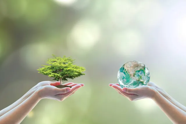 Polityka klimatyczna nie jest narodowa [OPINIA]