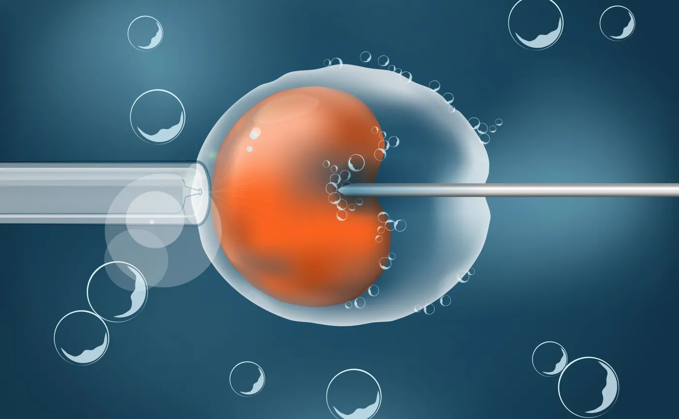 Szerszy dostęp do in vitro. Jak będzie wyglądał nowy program, która ma działać od 1 czerwca?
