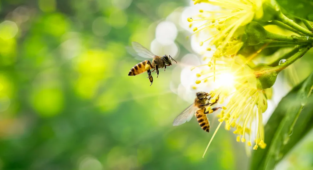 Główną przyczyną spadku różnorodności biologicznej będą zmiany klimatyczne