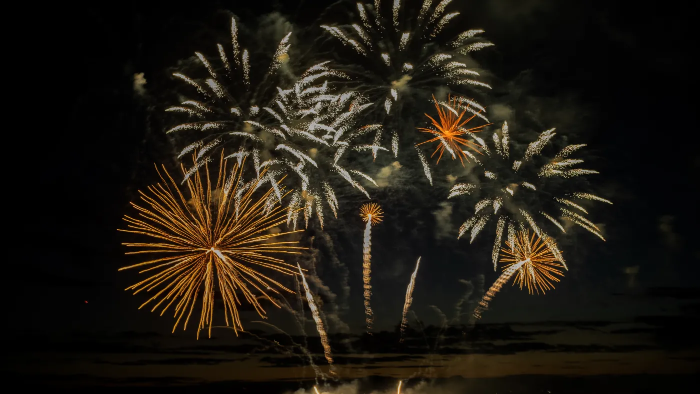 Używanie fajerwerków powinno zostać zakazane? RPO zajął stanowisko