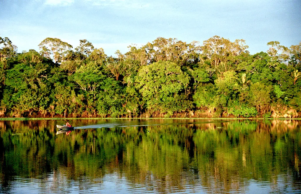 660617-amazonia1.jpg