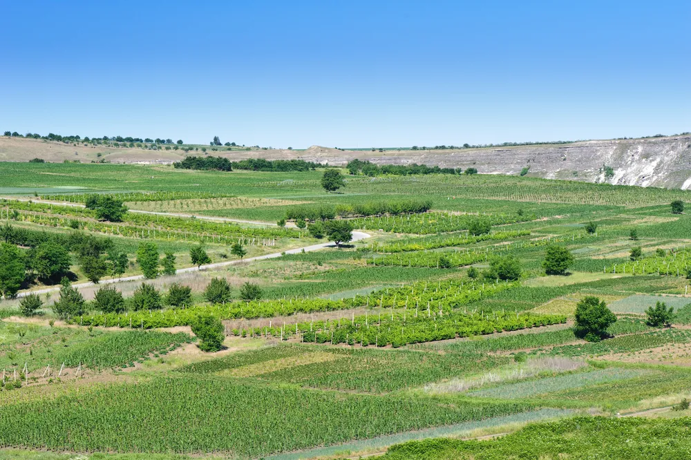 952994-moldawia1.jpg