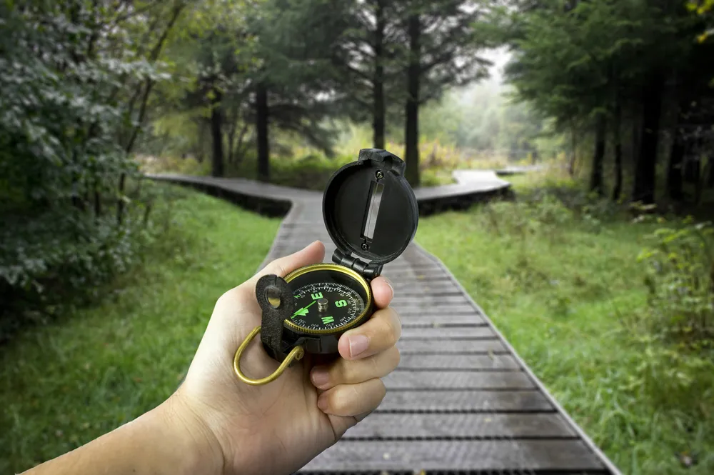 960862-orienteering.jpg