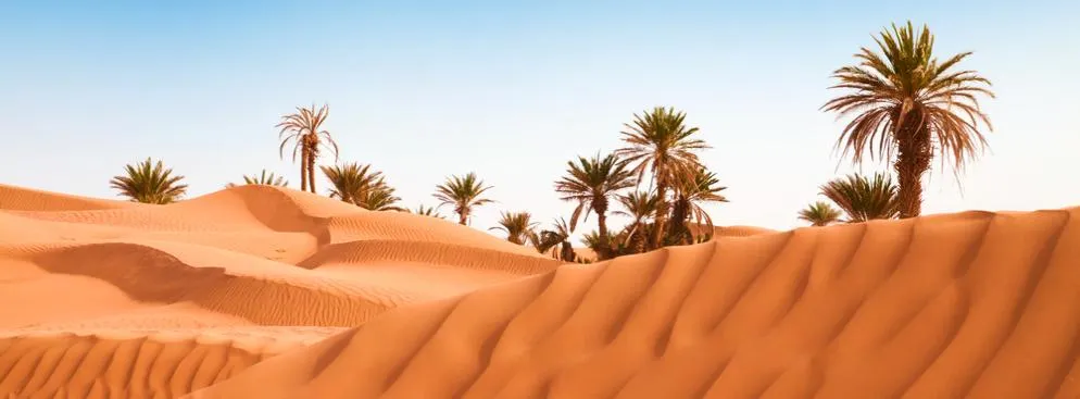 1076164-merzouga.jpg