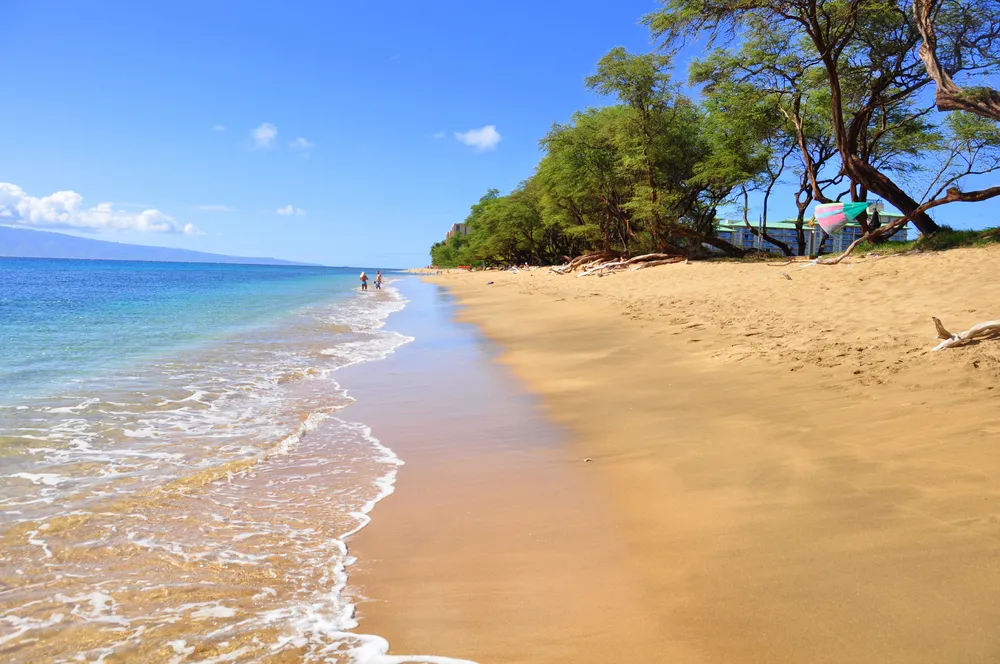 1220723-kaanapali.jpg