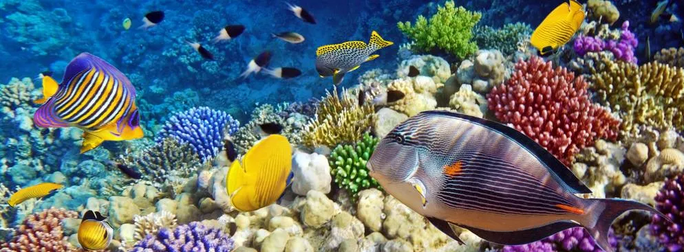Hurghada