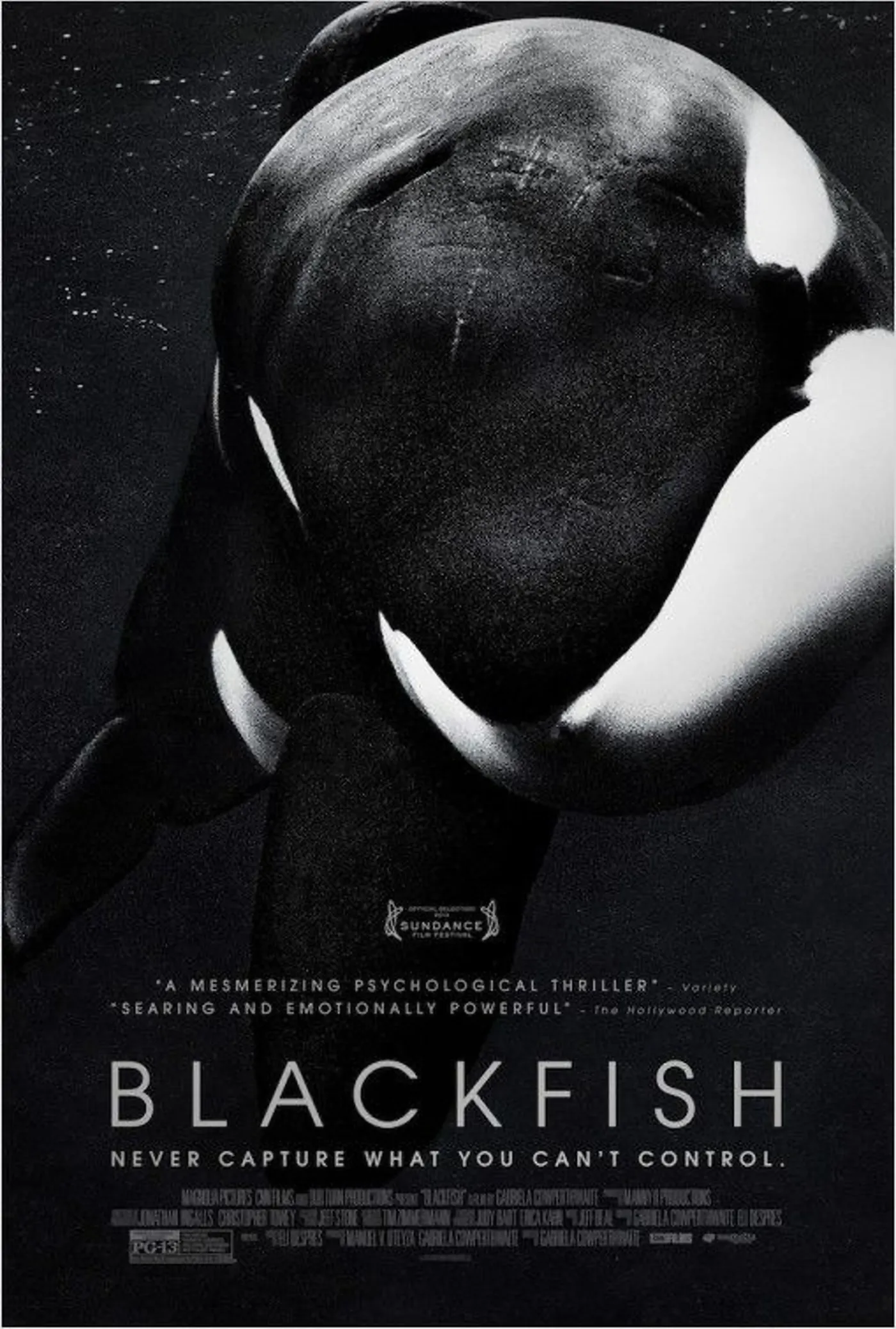 1636317-blackfish.jpg