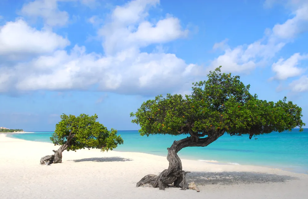 1650550-eagle-beach.jpg