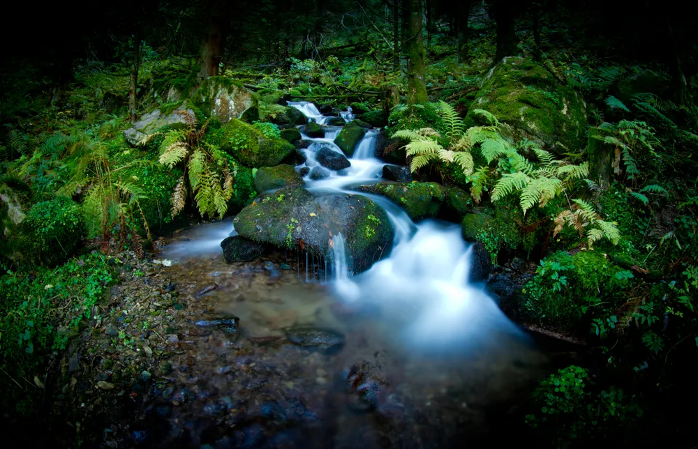 1332650-naturparks.jpg