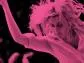 "Frances Ha" - recenzja