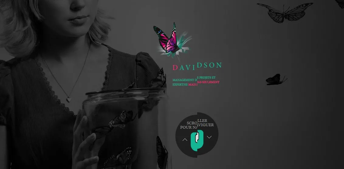 2214166-davidson.jpg